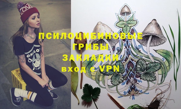 apvp Алзамай