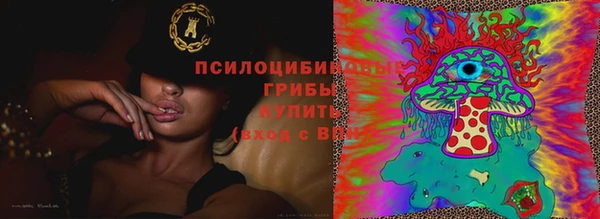 apvp Алзамай