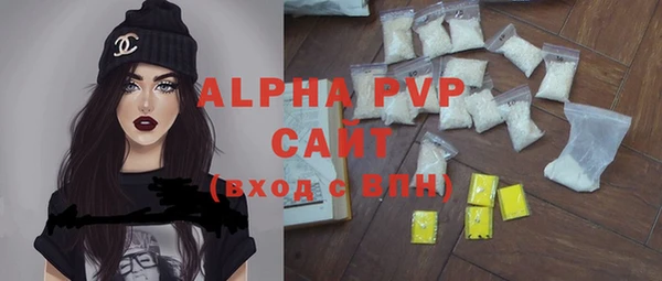 apvp Алзамай