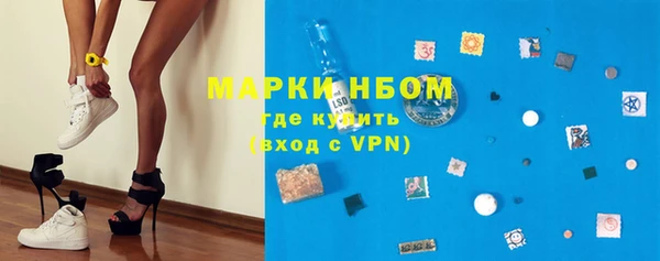 apvp Алзамай