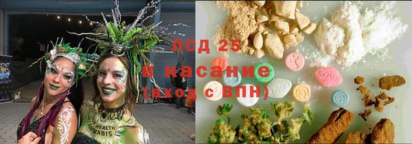 apvp Алзамай