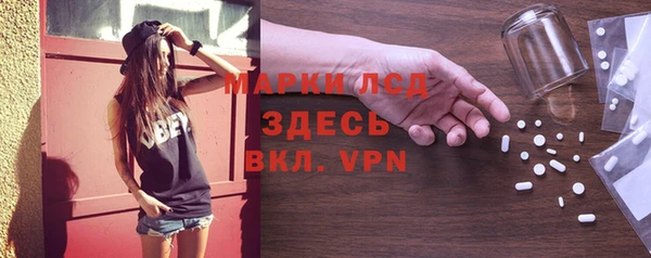 apvp Алзамай