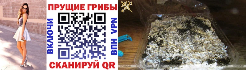 kraken ссылки  Чердынь  Галлюциногенные грибы Psilocybine cubensis 
